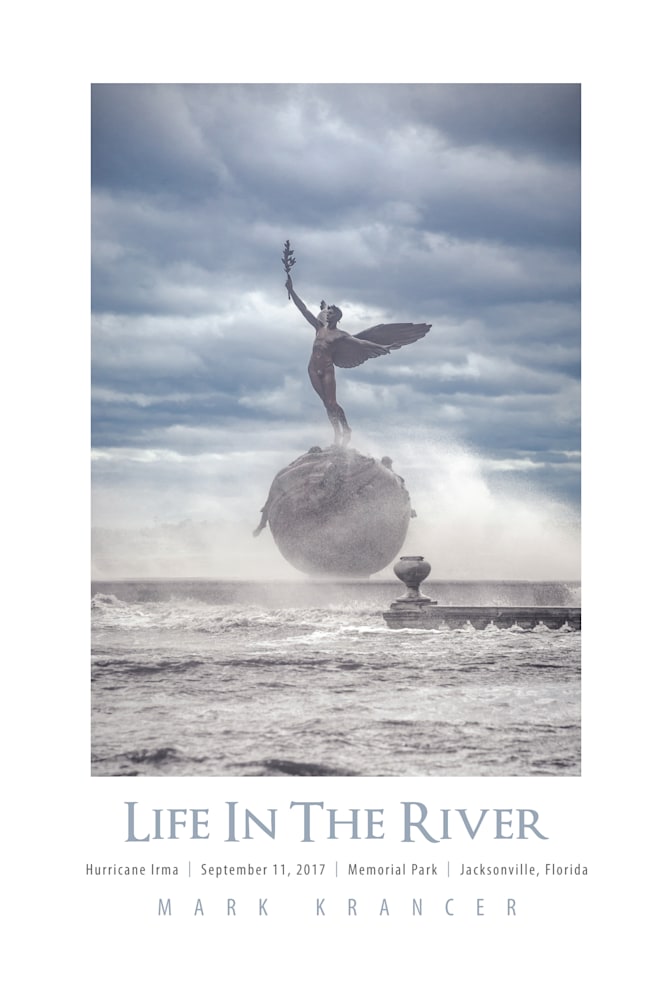 LIFE 12x18 GALLERY      POSTER  press