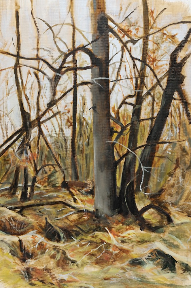 Failing Forest #2, 20x16, $600