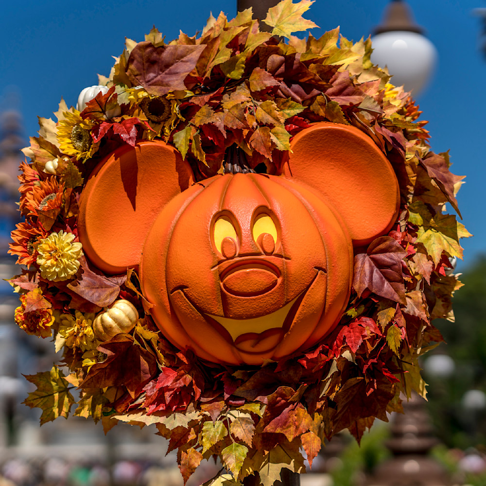 Disney pumpkin bag shop