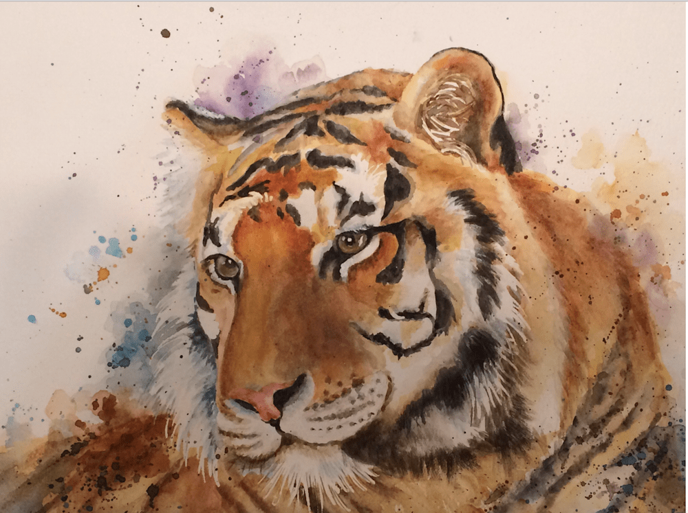 Tiger w:C