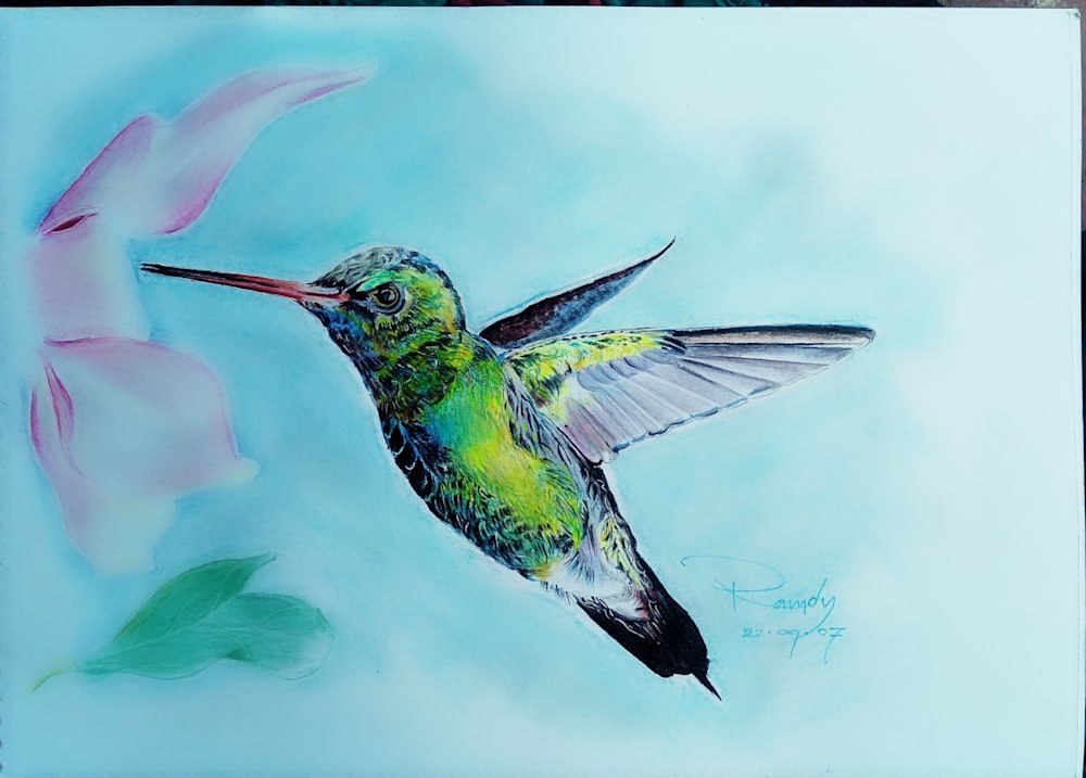 Hummingbird  RR 0347 O sm