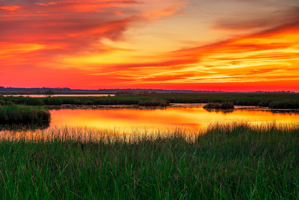 Andy Crawford Photography Big Branch Sunrise   Signed Edition
