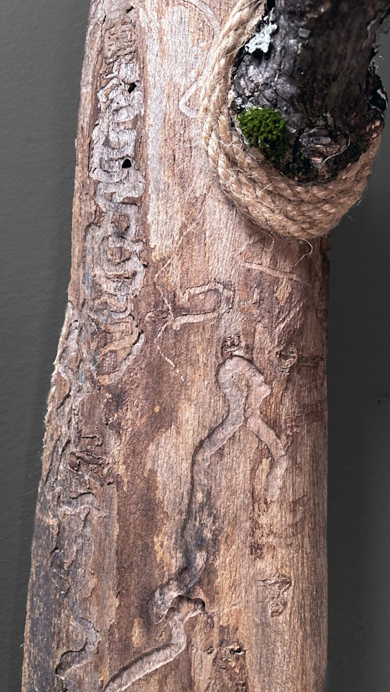 Jaclyn Gordyan WalkingFromTradition Sculpture Detail01 RT LowRes