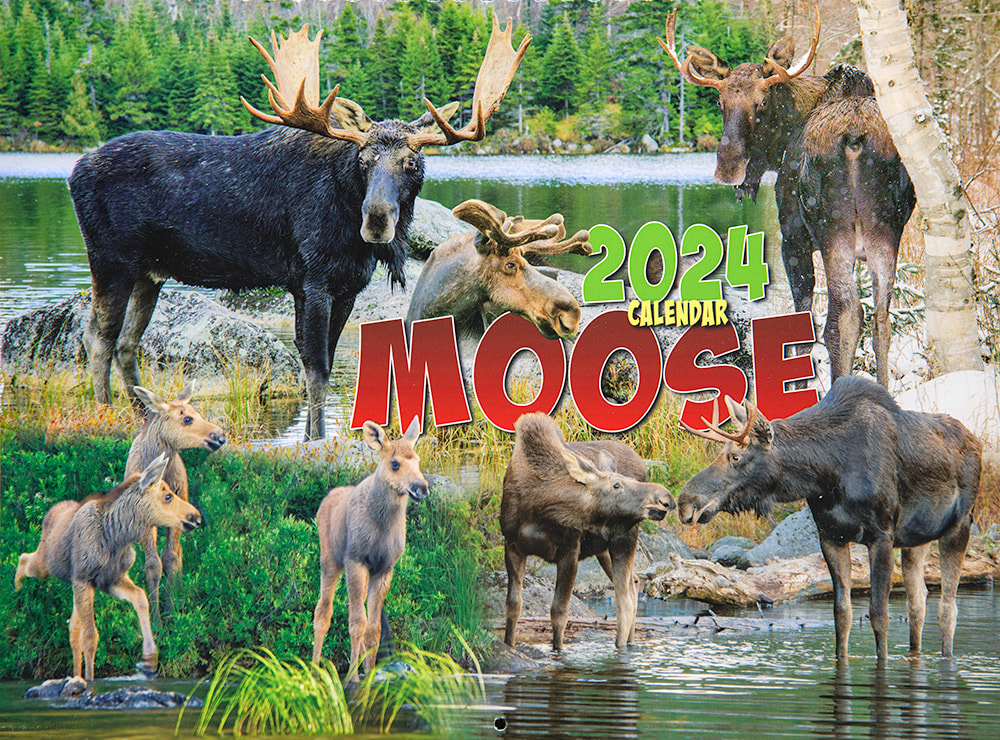 2024 MOOSE CALENDAR COVER