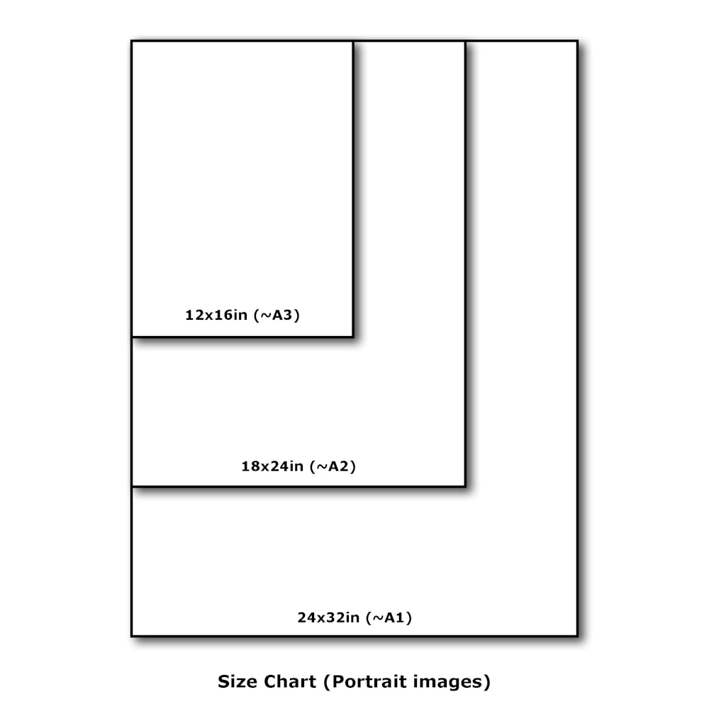 Size Chart (Portrait Images)