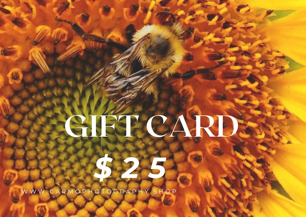 $25 GIFT CARD