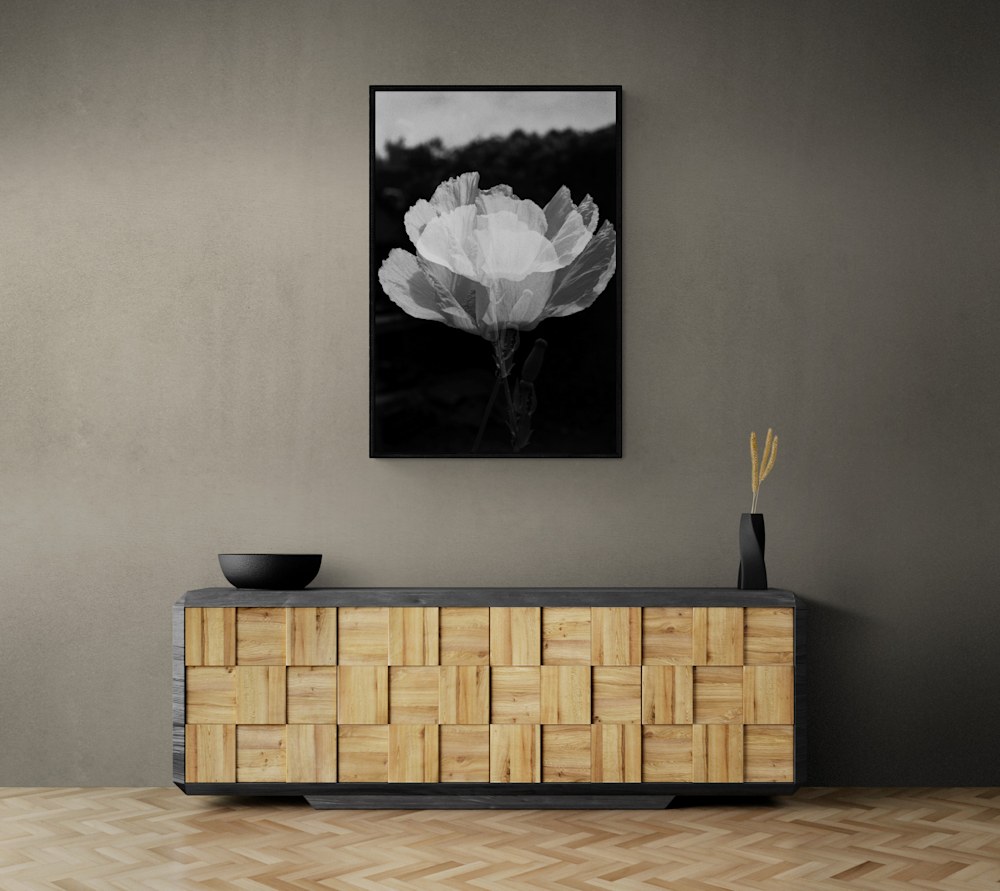 Plant in black vase sitting on modern cabinet(4)