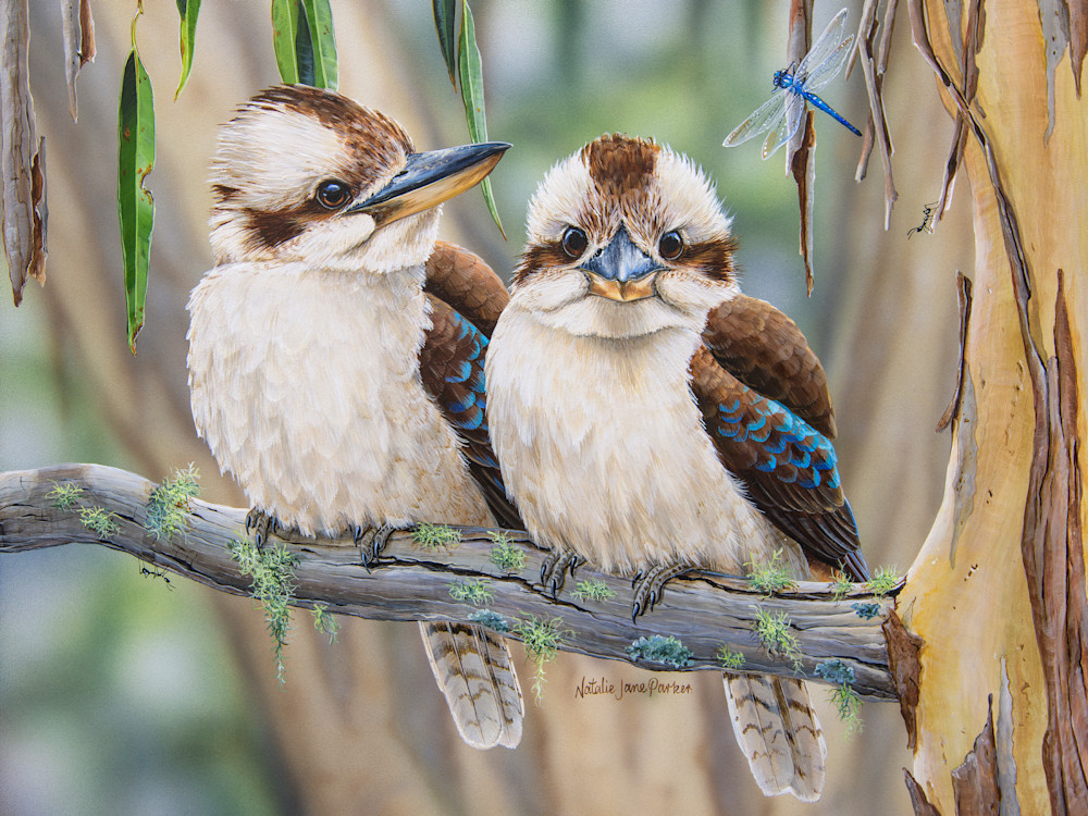 Life Among the Gum Trees 16x12in