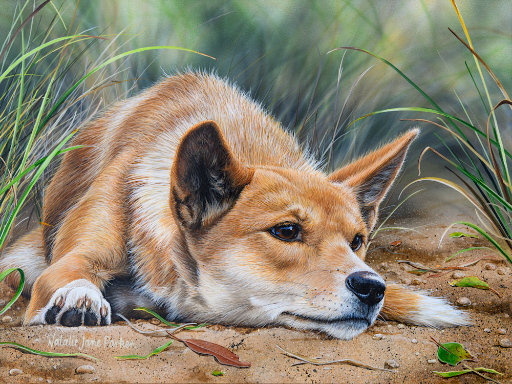 Lost in Thought 16x12in