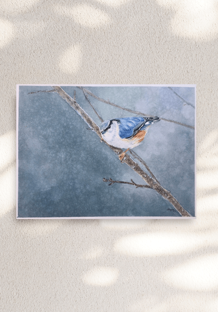 Nuthatch painting no frame