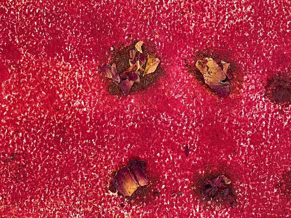 Red #6 (detail 1)