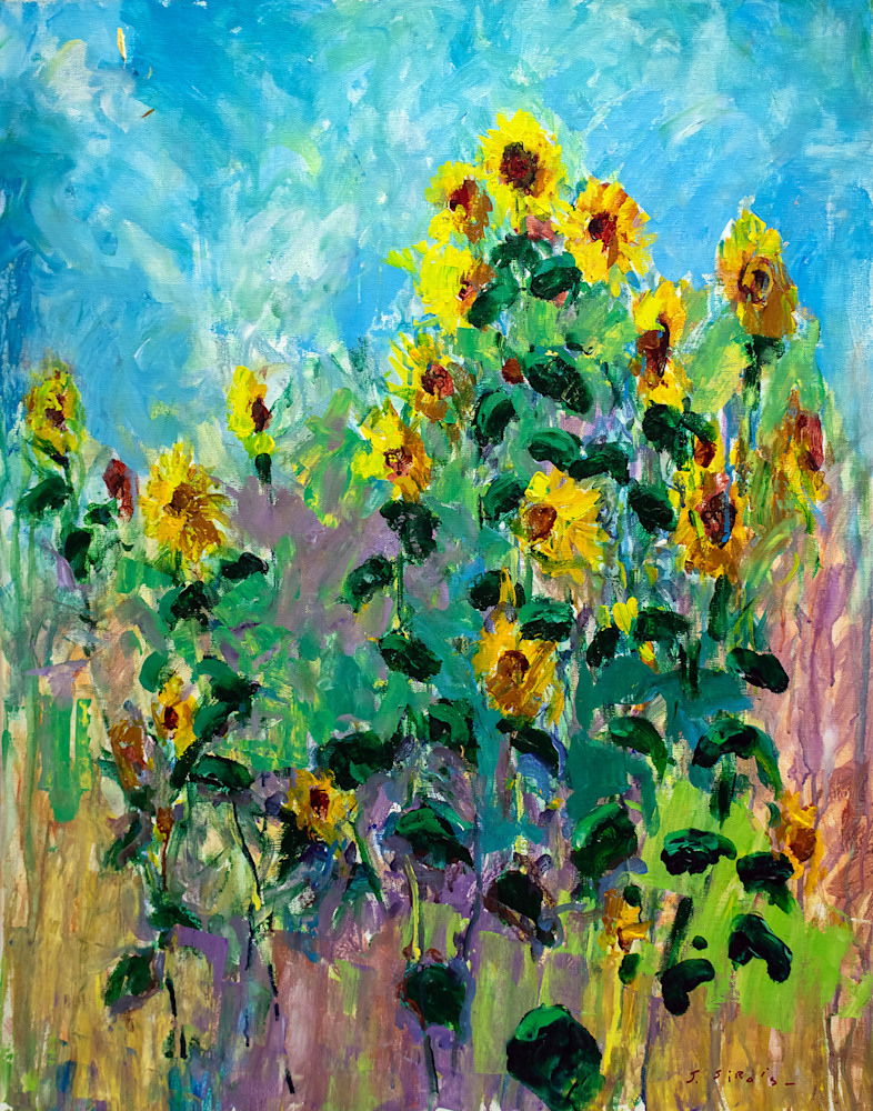  SunFlowers In The Field 
