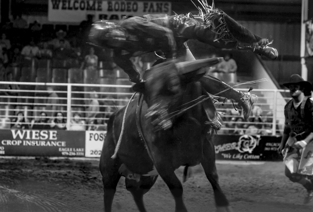 BullRider 9
