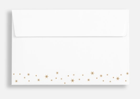 HERALD   envelope, back