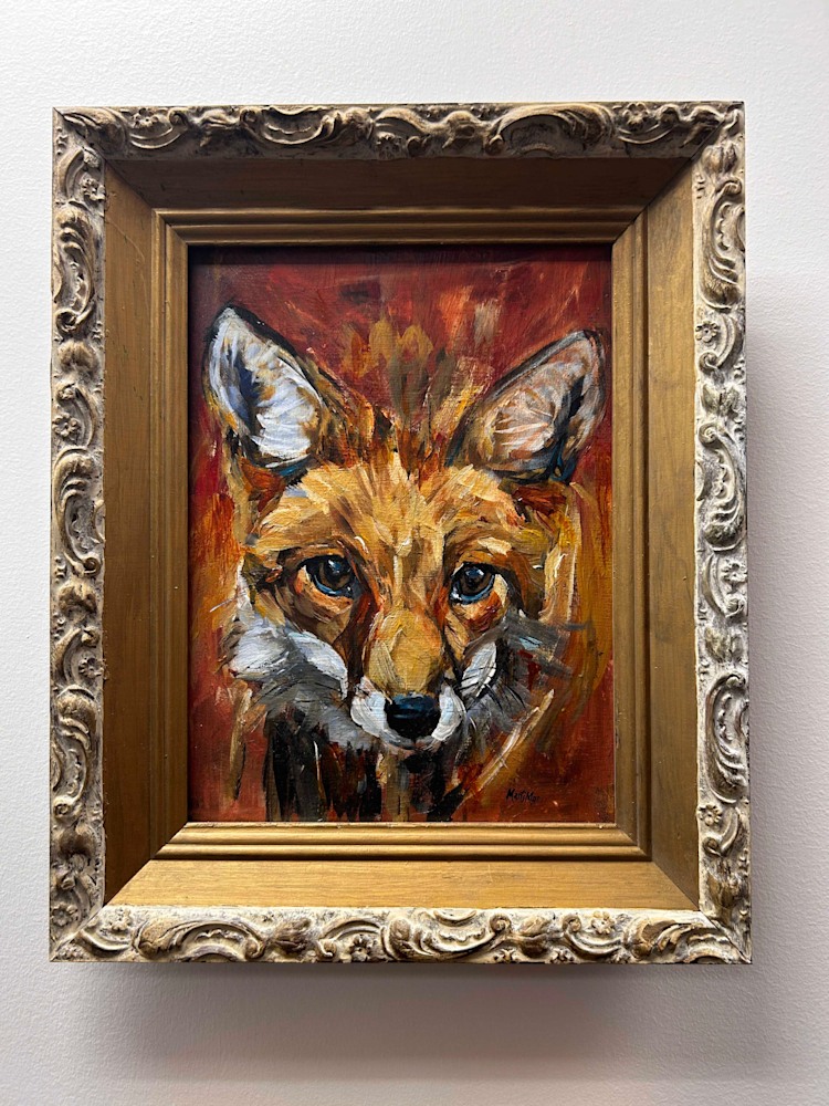 Red fox in frame