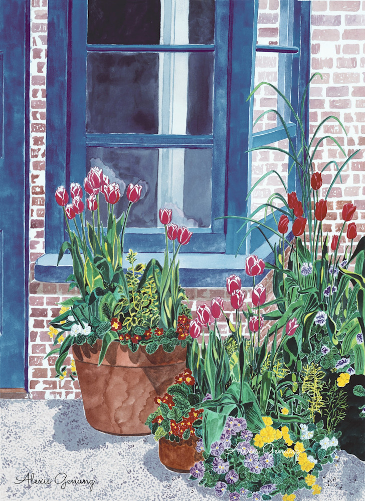 Garden at the Cape
