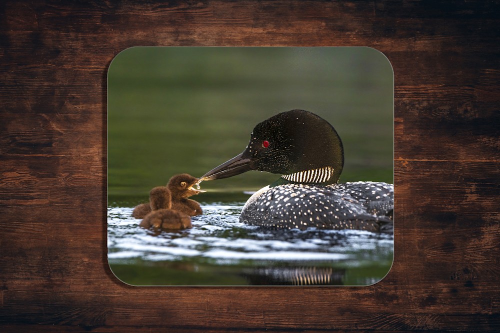 Mouse pads Loon family water drop