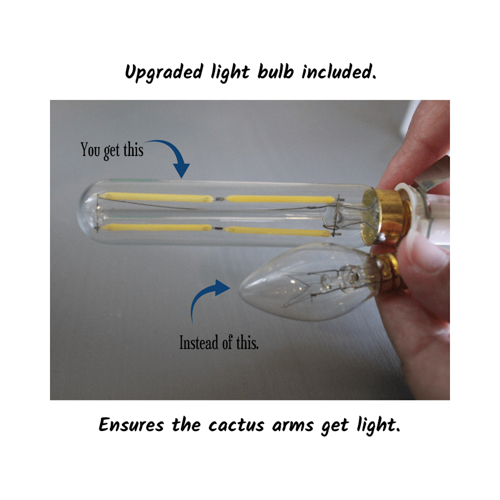 Upgraded light bulb included