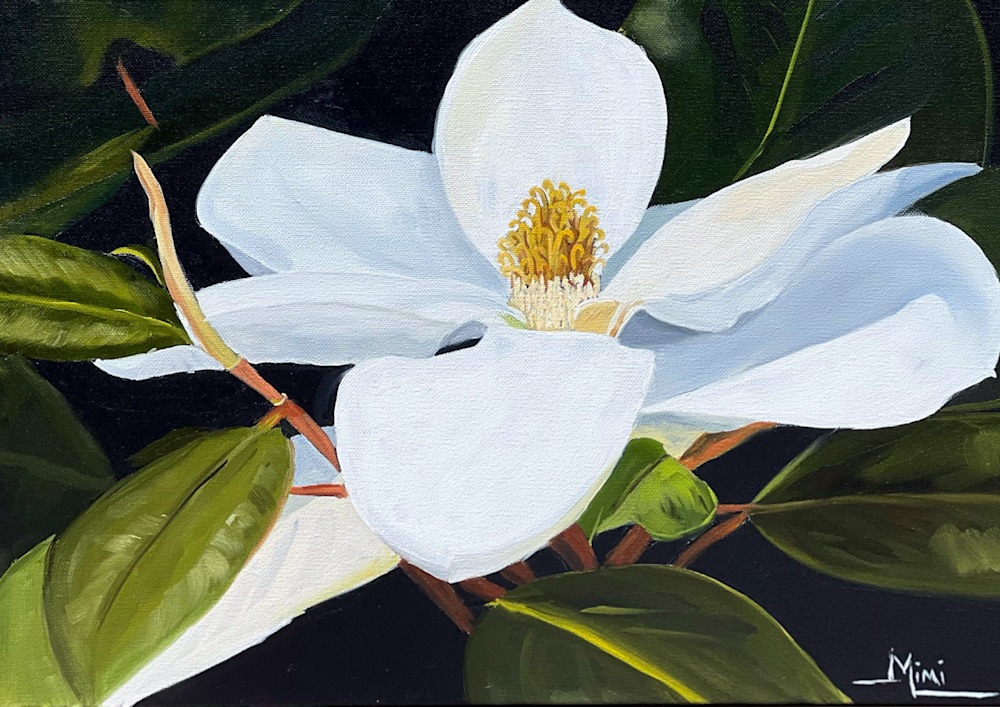 Southern Beauty 16x20 $550