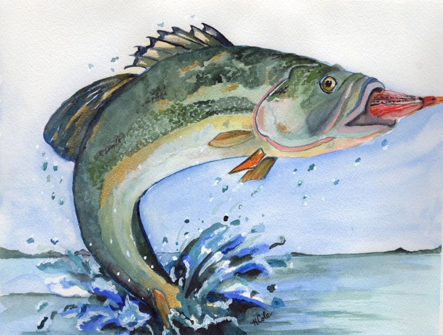 Walter's Catch watercolor 9 x12
