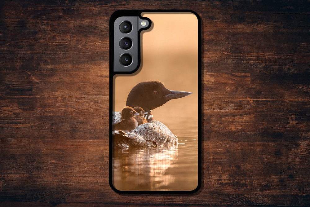 AdobeStock 177752440 copy17
