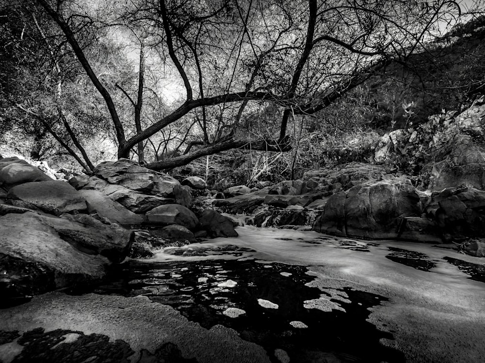 Haunted Stream 30X40 $1100