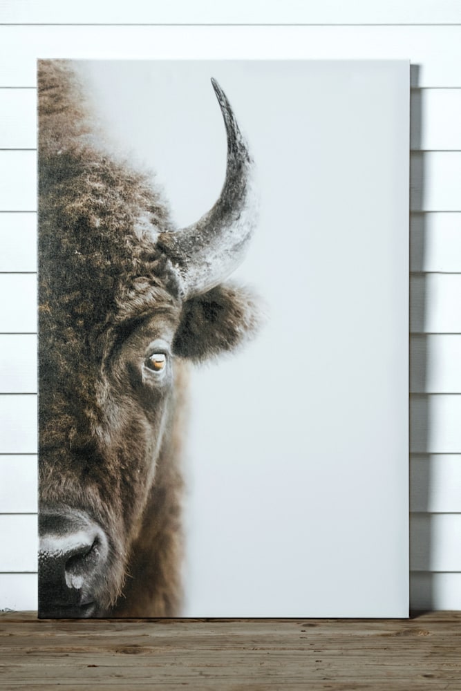 Unframed Canvas Bison against wall