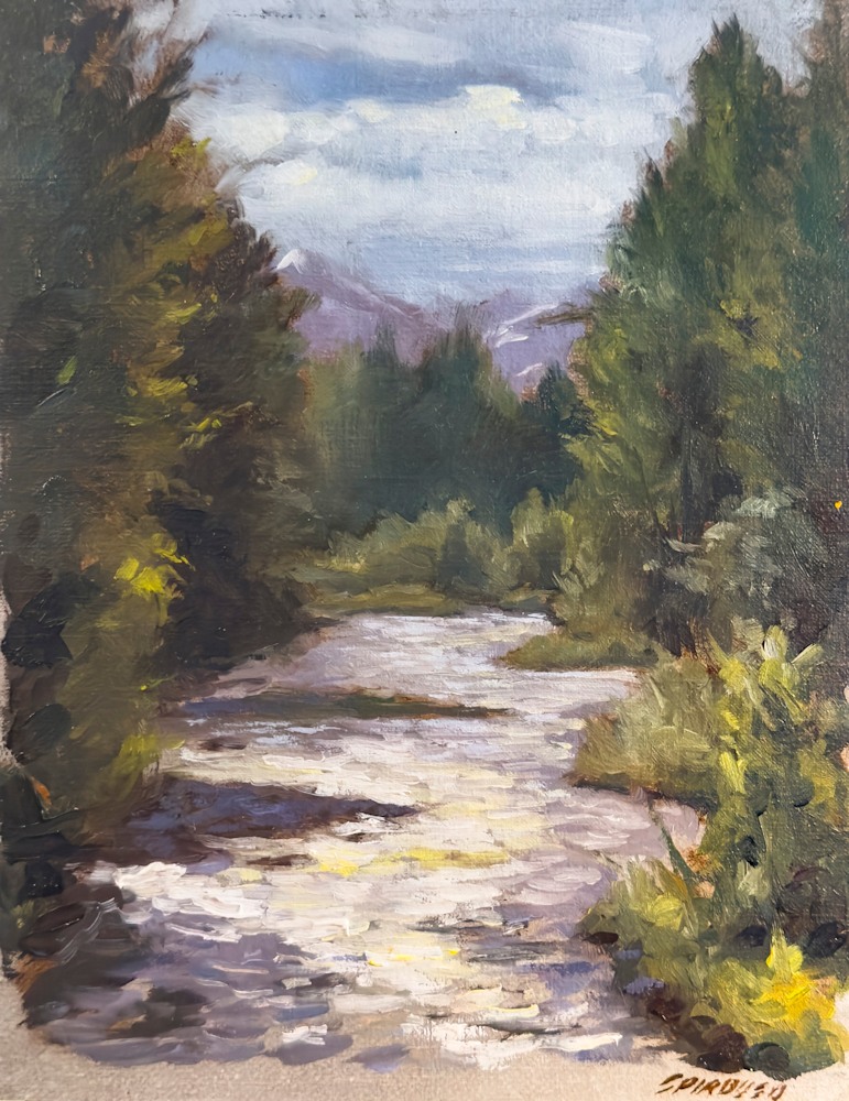 Spirduso Creek Study Alaska