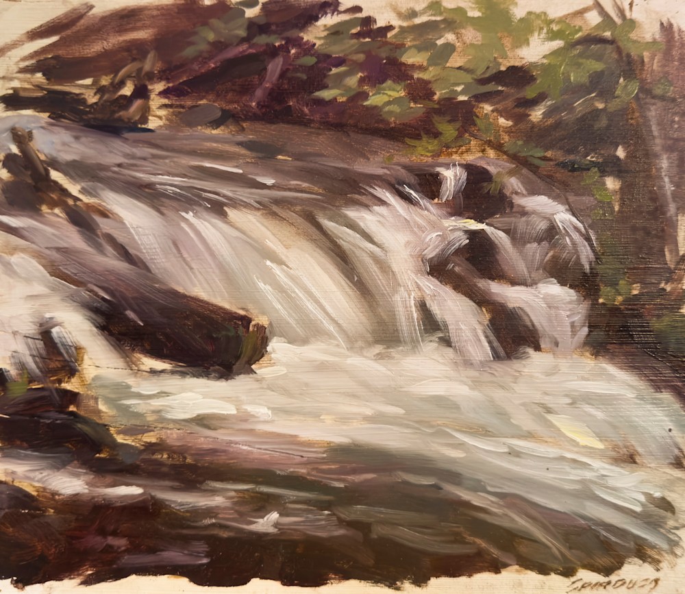 Spirduso McHugh Creek Alaska Study