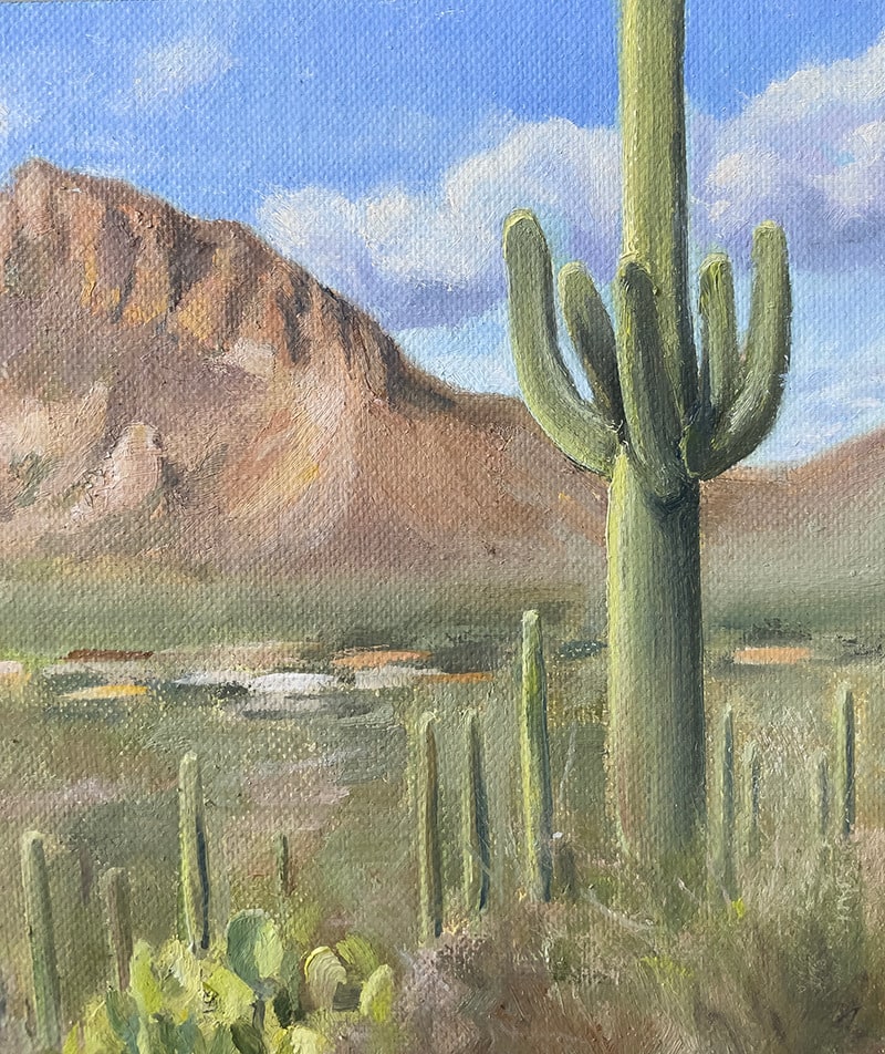 Cactus Detail