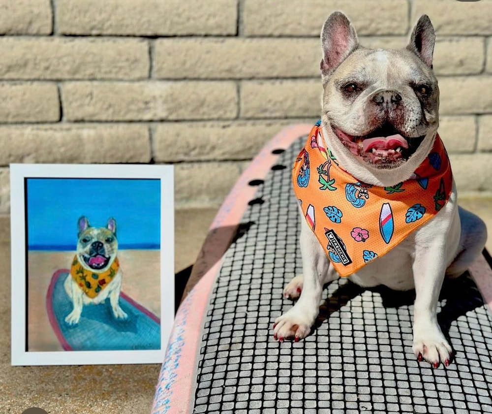 Cherie surfer dog with pet portrait