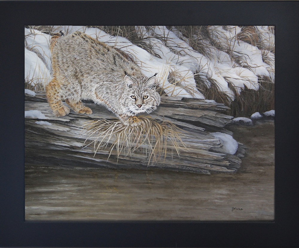 on the prowl   bobcat   framed with original cleaned up