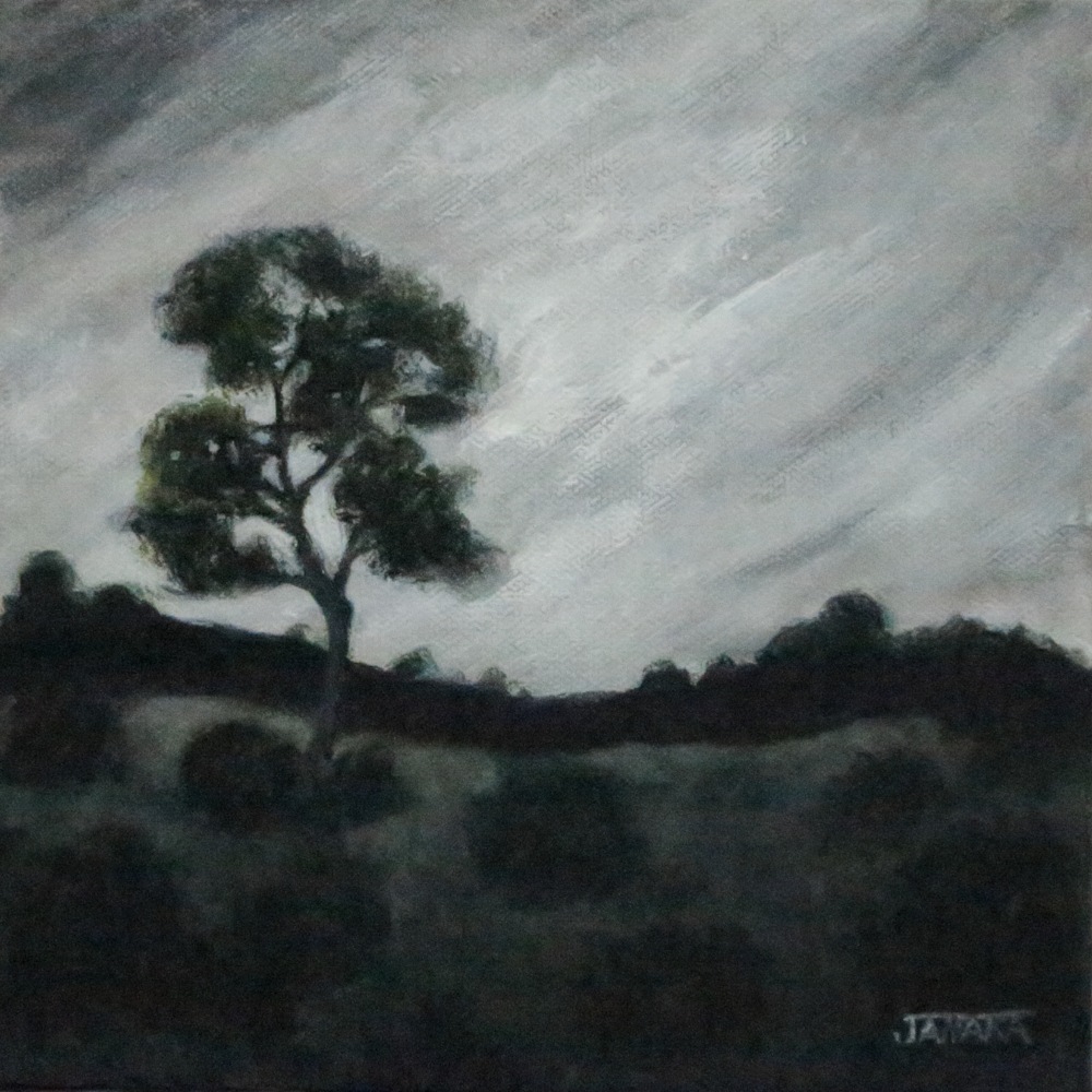 a tree stands alone at the end of a day8x8 2023