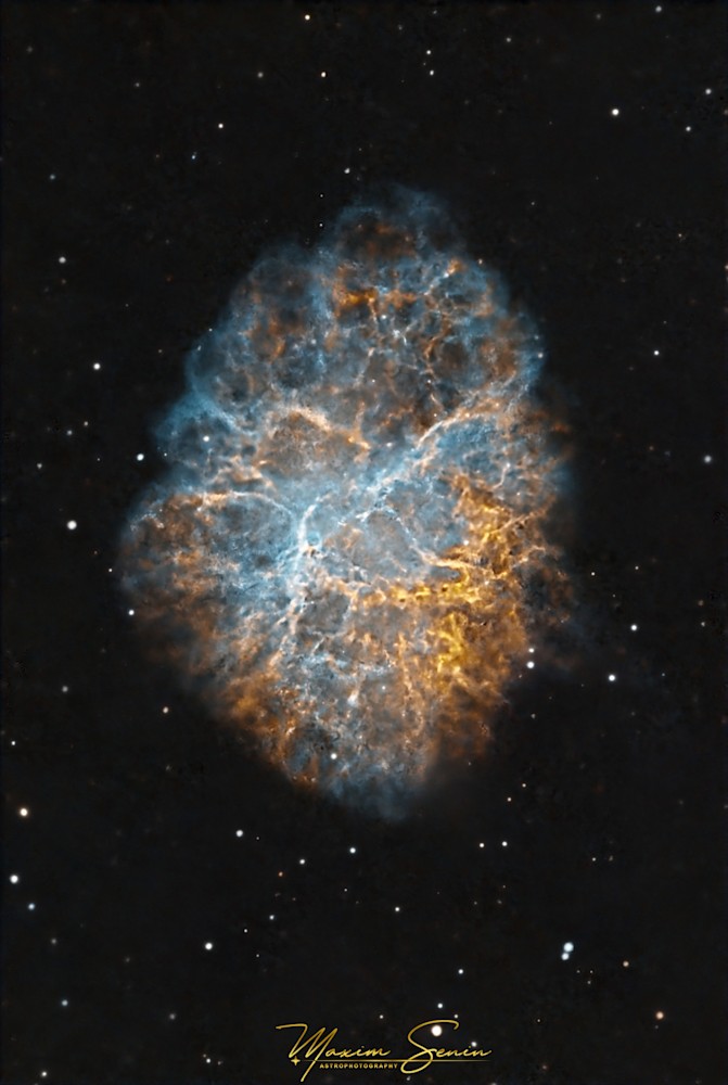 Maxim Senin M1 Crabnebula 20231211 Hoo 3062X4562 Signed
