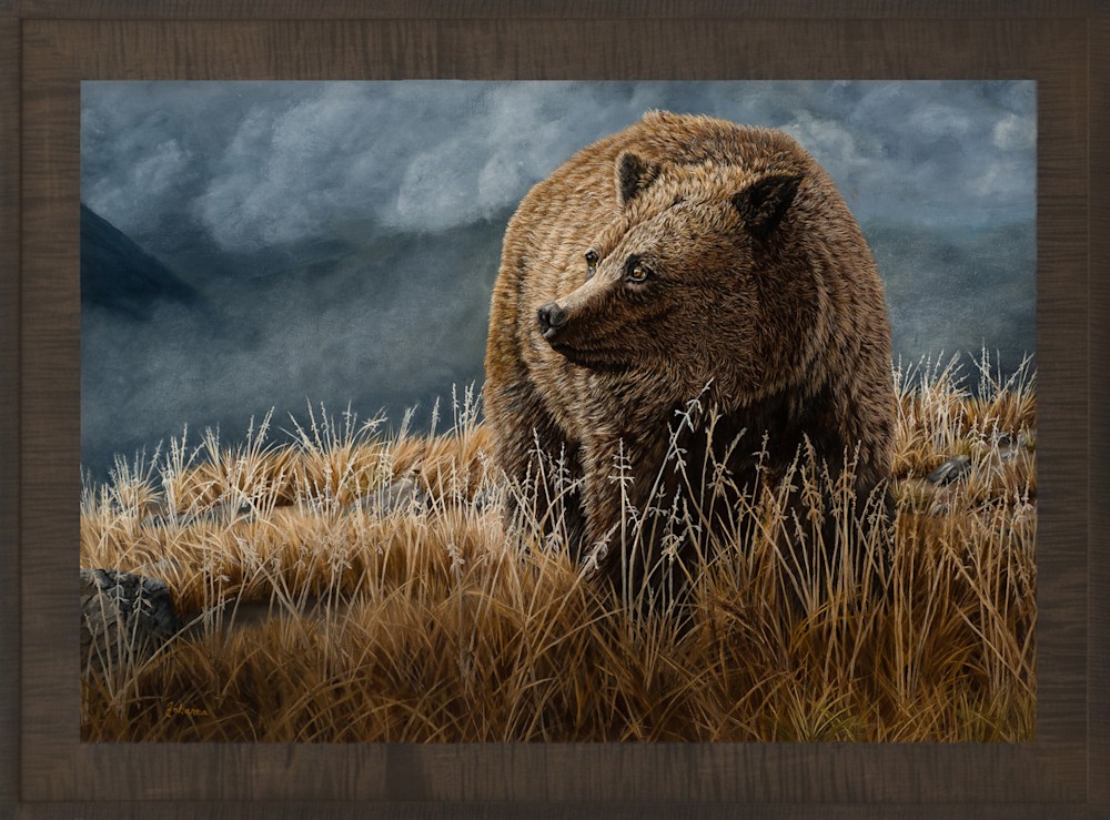 High Mountain Grizzly   framed resized
