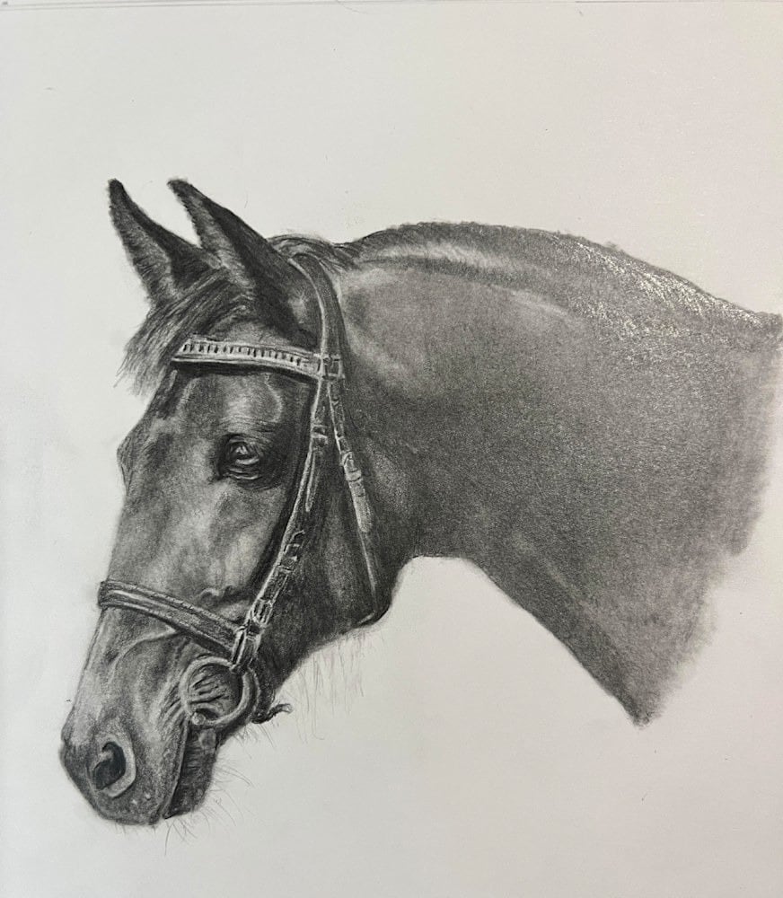 Horse in Bridle