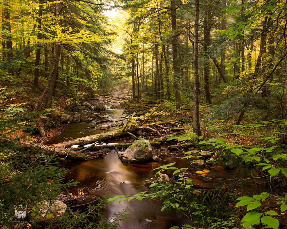 Pre Order 2025 Adirondack Calendar Kurt Gardner Photography Gallery