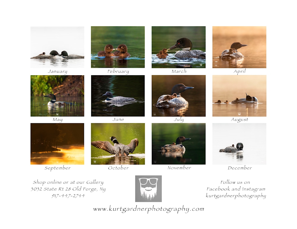 2025 Loon Calendar Kurt Gardner Photography Gallery