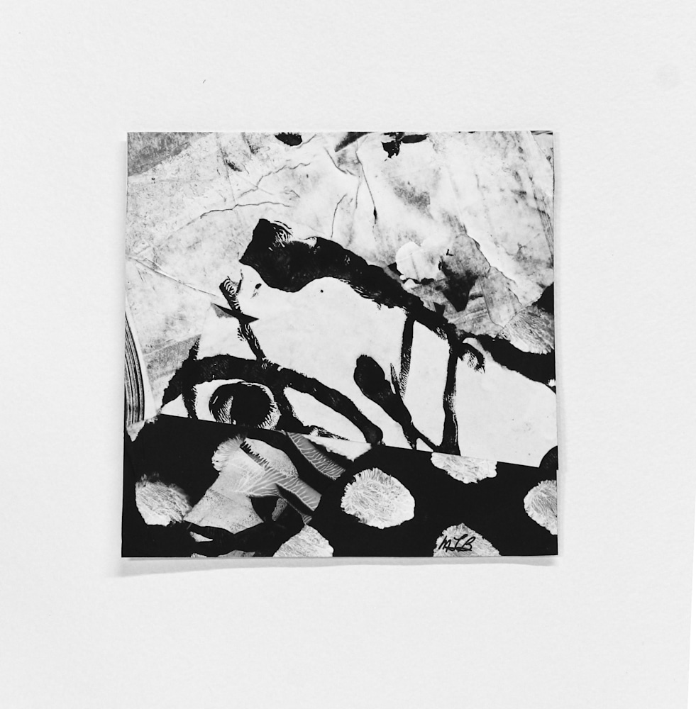 2127 border IMG 4813