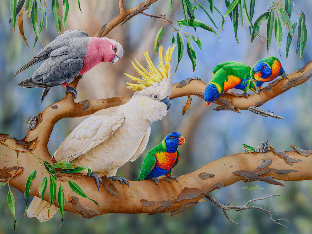 Colourful Crowd Natalie Jane Parker