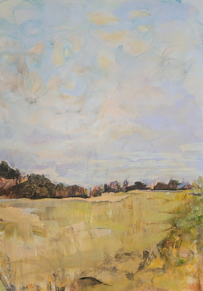 Arden Rose 10X16 Fields In France