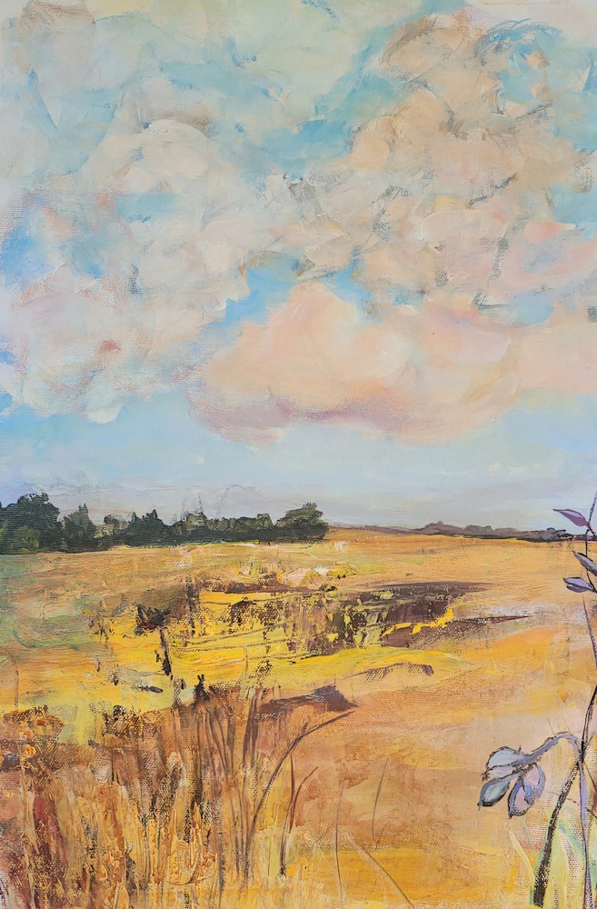 Arden Rose 10X16 Fields In France 2