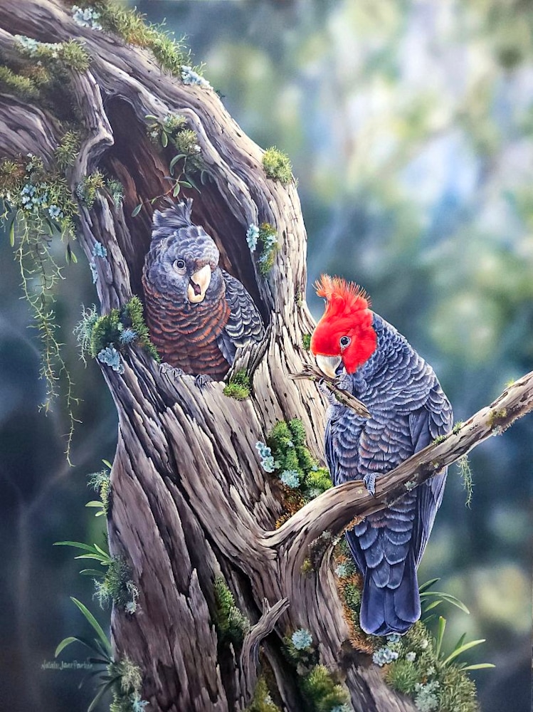 Resized 20240710 095812 1720569718757 2 Resized 20240710 095812 1720569718757 2