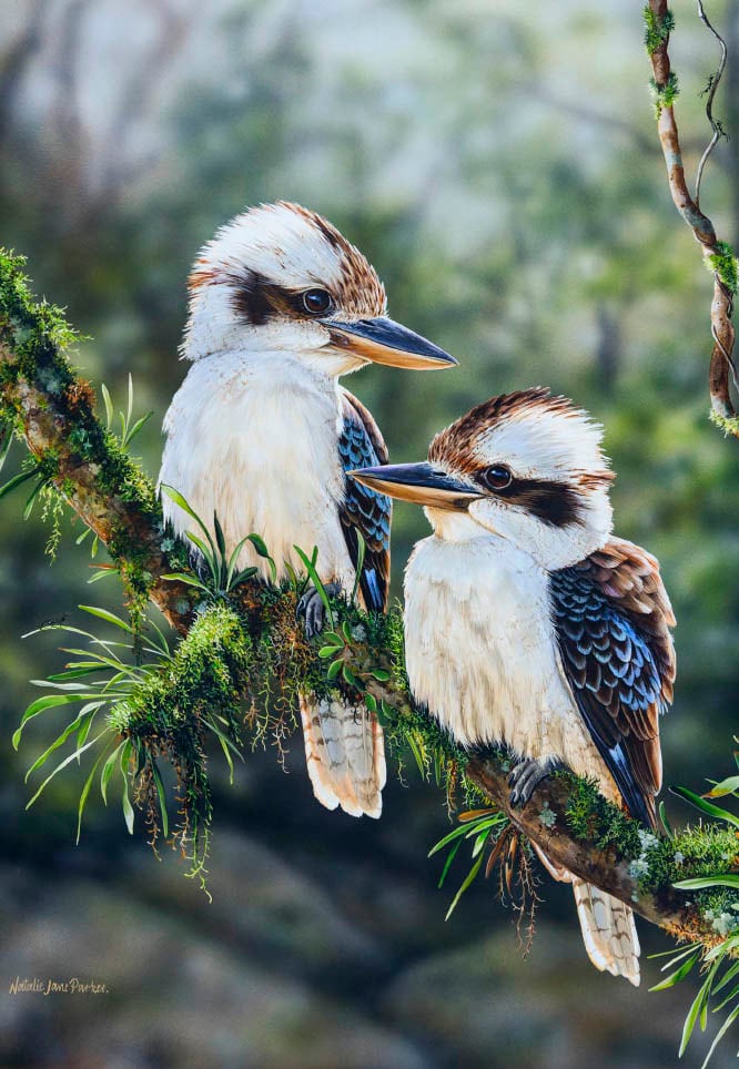 Australian Birdlife 2025 Wall Calendar Australian Birdlife Art by