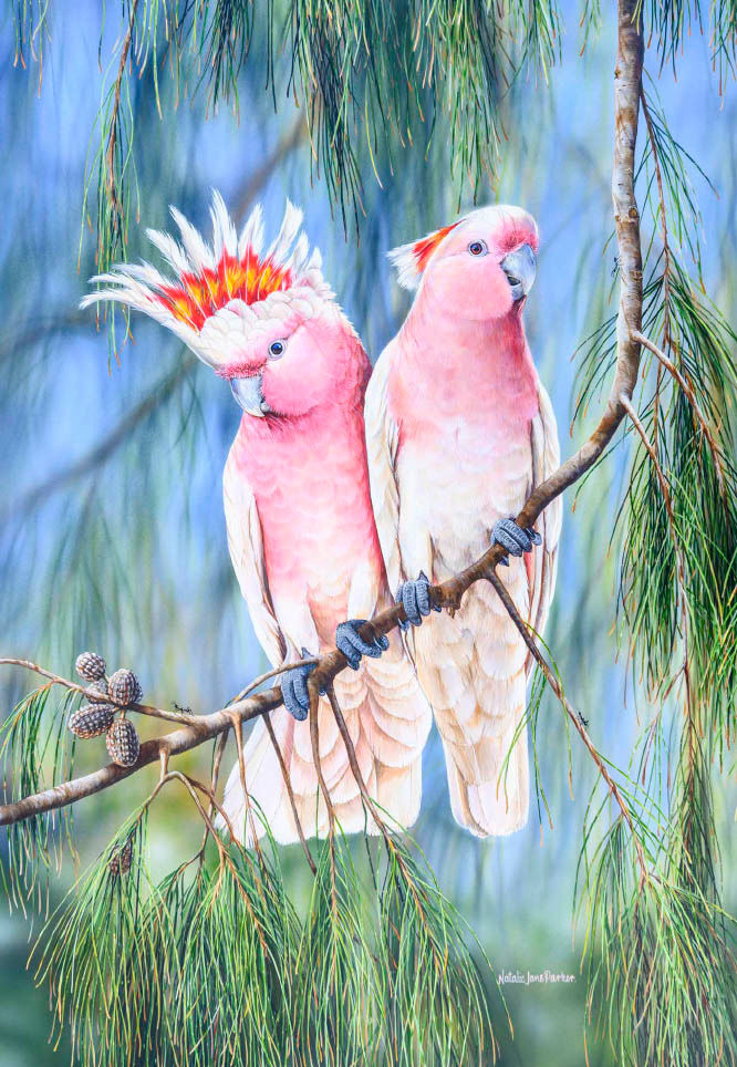 Australian Birdlife 2025 Wall Calendar Australian Birdlife Art by