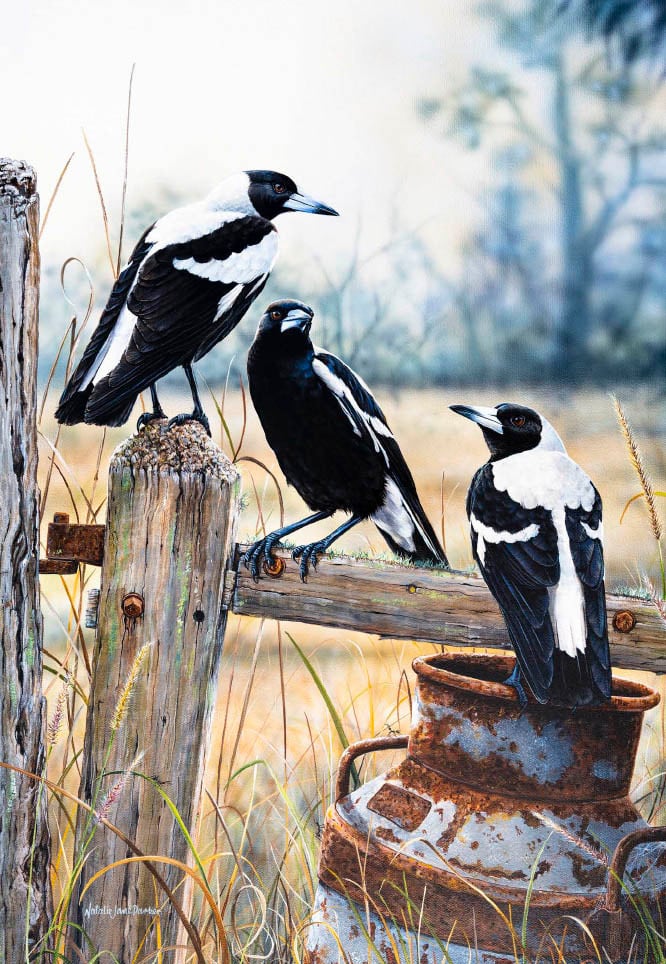 B109084 JLFAP   2025 Calendar 340x235mm PORTRAIT Birdlife V1 LR (1) 16