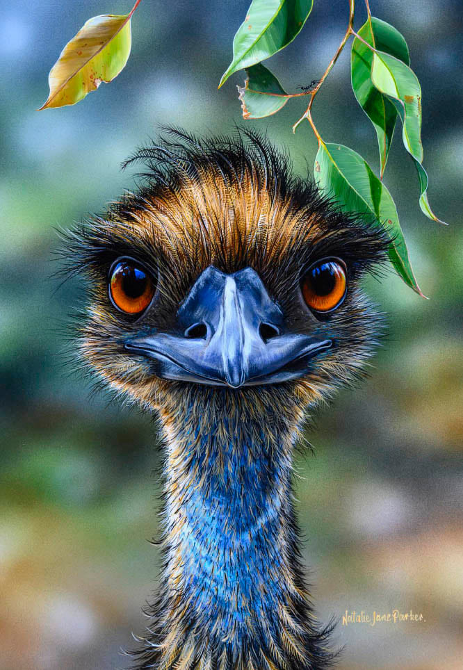 B109084 JLFAP   2025 Calendar 340x235mm PORTRAIT Birdlife V1 LR (1) 18
