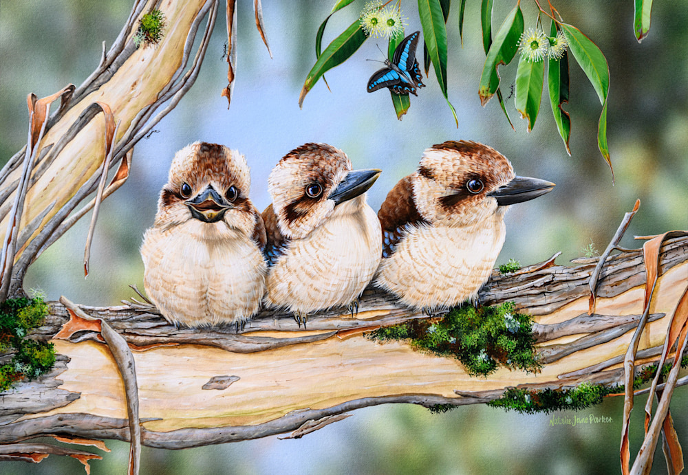 Family Laughter   Laughing Kookaburra copy