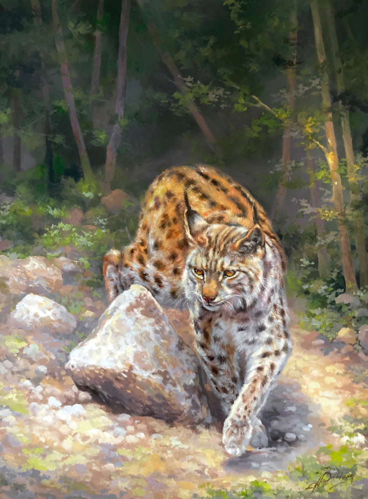 Arizona Lynx Cat