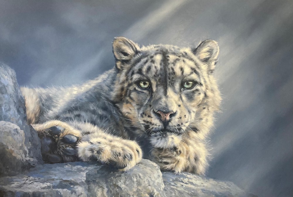 Snow Leopard 24 x 30 3900